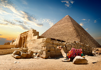 Image showing Camel near ruins