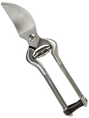 Image showing Secateurs Cutout