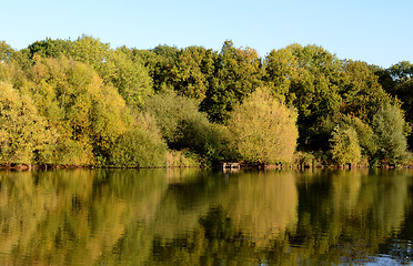 Image showing Dense foliage in sunshine, reflected in lake