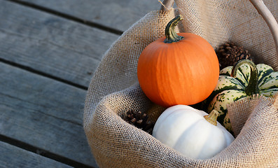 Image showing Small gourds nestled in hessian on wide wooden planks