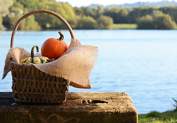 Image showing Basket filled with small pumpkins by a pond