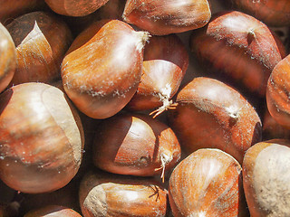 Image showing Chestnuts nuts background