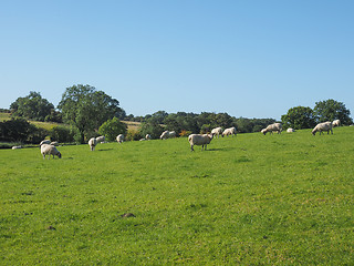 Image showing View of Tanworth in Arden