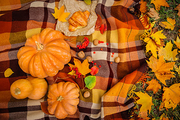 Image showing Romantic autumn still life