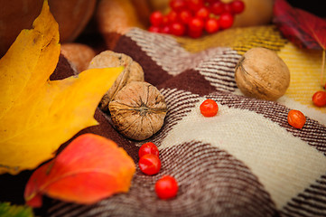 Image showing Romantic autumn still life