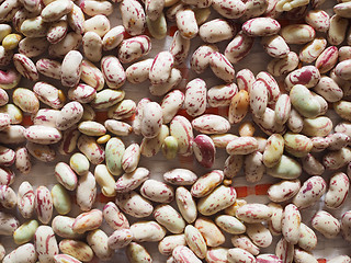 Image showing Crimson beans vegetables background