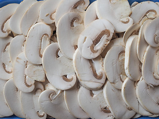 Image showing Champignon mushrooms background