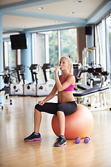 Image showing woman in fitness gym drink water