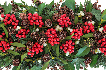 Image showing Christmas and Winter Flora