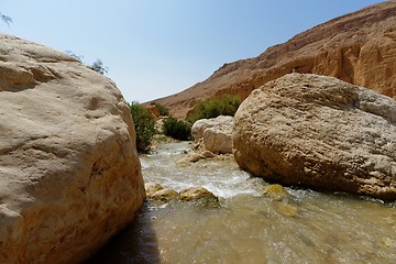 Image showing Wadi bin Hammad creek in desert in Jordan