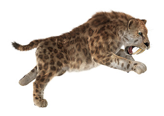 Image showing Big Cat Sabertooth