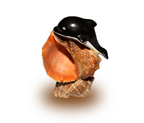 Image showing figure seashell