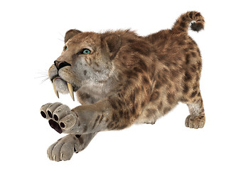 Image showing Big Cat Sabertooth