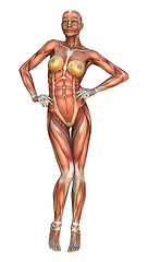 Image showing Muscle Maps