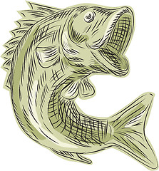 Image showing Largemouth Bass Fish Etching