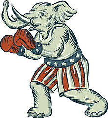 Image showing Republican Elephant Boxer Mascot Isolated Etching