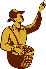 Image showing Fruit Picker Worker Pointing Woodcut