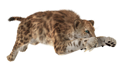 Image showing Big Cat Sabertooth