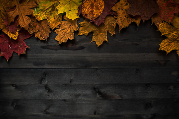 Image showing Wood autumn background