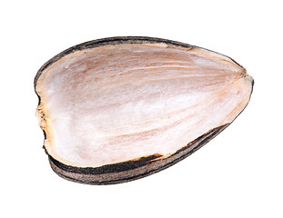 Image showing Sunflower seed isolated