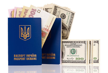 Image showing Passport Ukraine with money