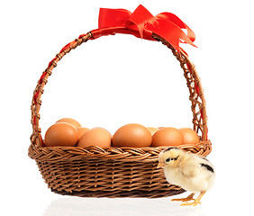 Image showing Little chickens with eggs