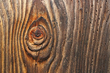 Image showing knot on old spruce plank with insect attack