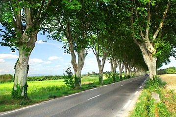 Image showing French country road