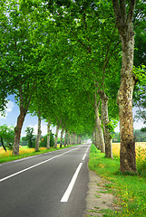 Image showing French country road