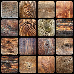 Image showing collection of knotted wood textures
