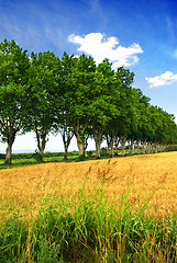 Image showing French country road