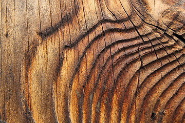 Image showing beautiful natural pattern on spruce plank