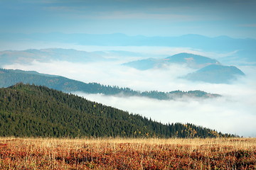 Image showing foggy morning in Giumalau mountains