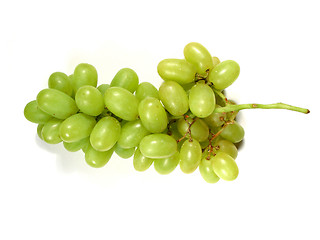 Image showing Green grapes bunch