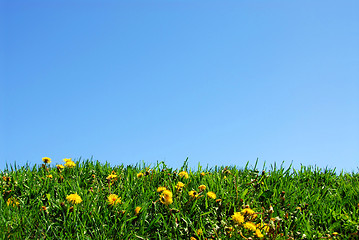 Image showing Grass and sky background