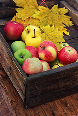 Image showing Autumn apple in  rural style.