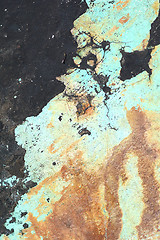 Image showing grunge wooden texture used as background.