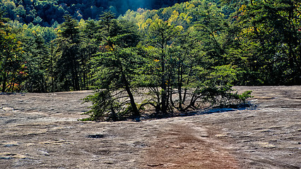 Image showing stone mountain north carolina scenery during autumn season