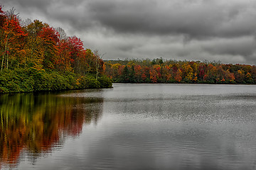 Image showing autumng season in the smoky mountains