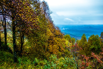 Image showing driving through  blue ridge mountains national park 