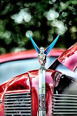 Image showing woman holding wheel car hood emblem