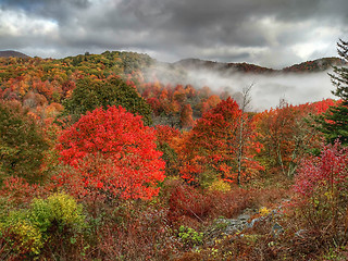 Image showing autumn drive on blue ridge parkway