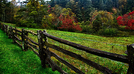 Image showing autumng season in the smoky mountains