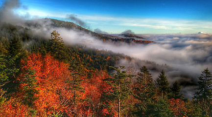 Image showing autumn drive on blue ridge parkway