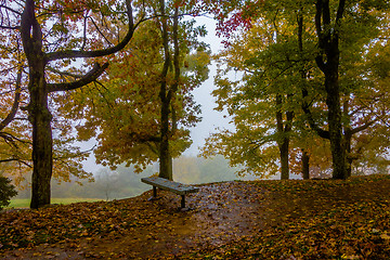 Image showing driving through  blue ridge mountains national park 