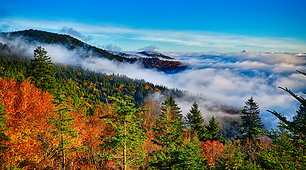 Image showing autumng season in the smoky mountains