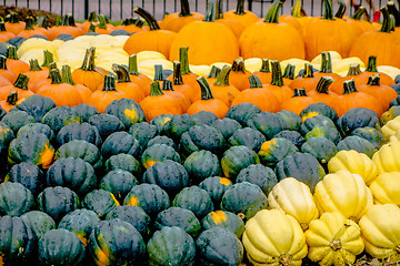 Image showing pumpkin and harvest decorations for the holidays