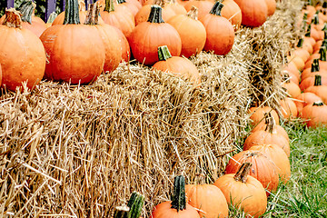Image showing pumpkin and harvest decorations for the holidays