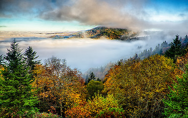 Image showing autumng season in the smoky mountains