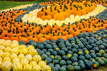 Image showing pumpkin and harvest decorations for the holidays